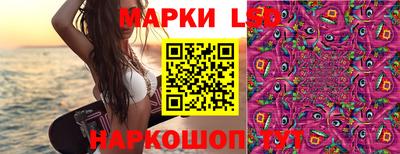 ГАЛЛЮЦИНОГЕННЫЕ ГРИБЫ Заволжье