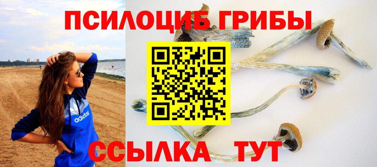 даркнет сайт  Вход с VPN  Дятьково  Псилоцибиновые грибы MAGIC MUSHROOMS 